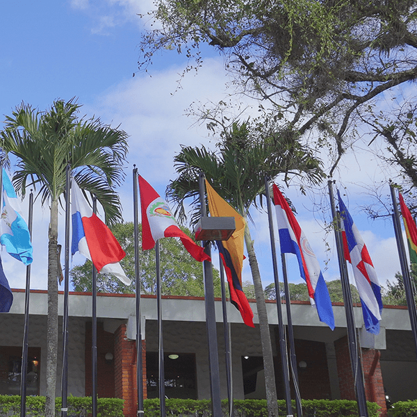 Executive Master in Business Analytics – INCAE Executive Education