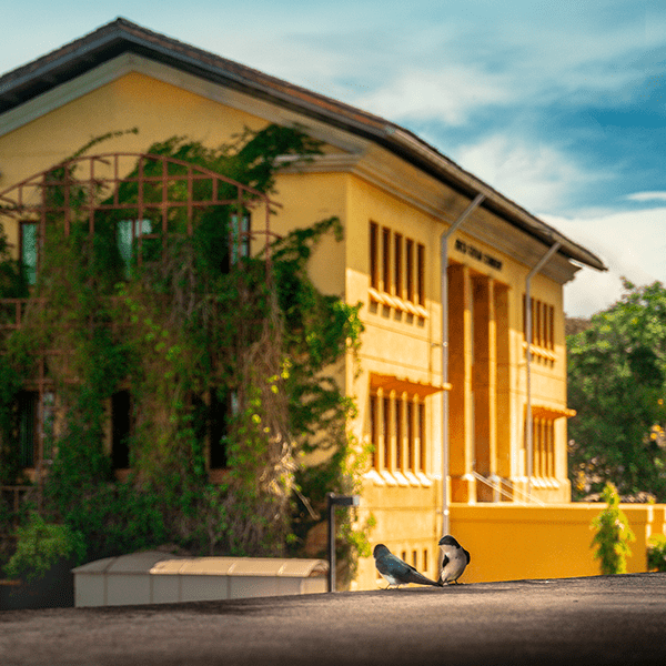 Executive Master in Business Analytics – INCAE Executive Education